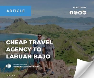 beyond komodo tour's article (1)