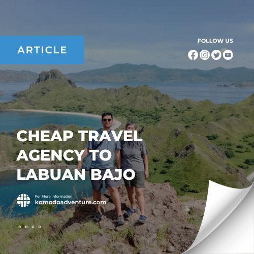 beyond komodo tour's article (1)