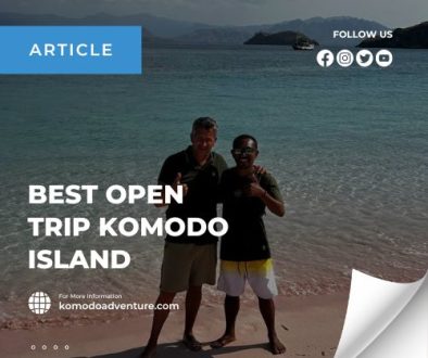 beyond komodo tour's article (2)